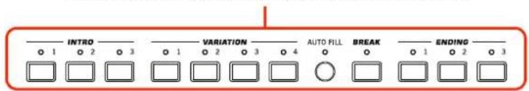 KORG PA300 - Enregistrement en cours - 1