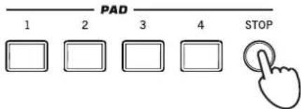 KORG PA300 - Les pads - 3