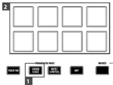 KORG Triton taktile 49 - Playing chords with the trigger pad (chord scale) - 1