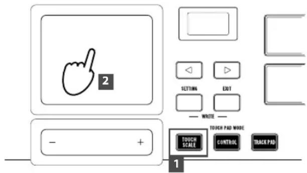 KORG Triton taktile 49 - Performing with the touchpad (touch scale) - 1