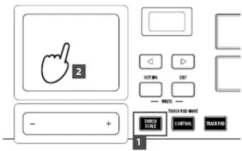 KORG Triton taktile 49 - Spielen mit dem Touchpad (Notenleiter) - 1
