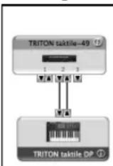 KORG Triton taktile 49 - Einstellungen unter „Audi MIDI Setup" - 1