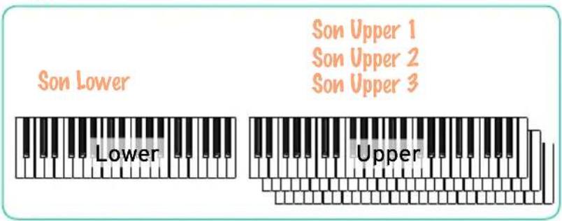 KORG PA1000 - Keyboard Set - 1