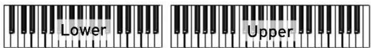KORG PA1000 - Partage du clavier - 1