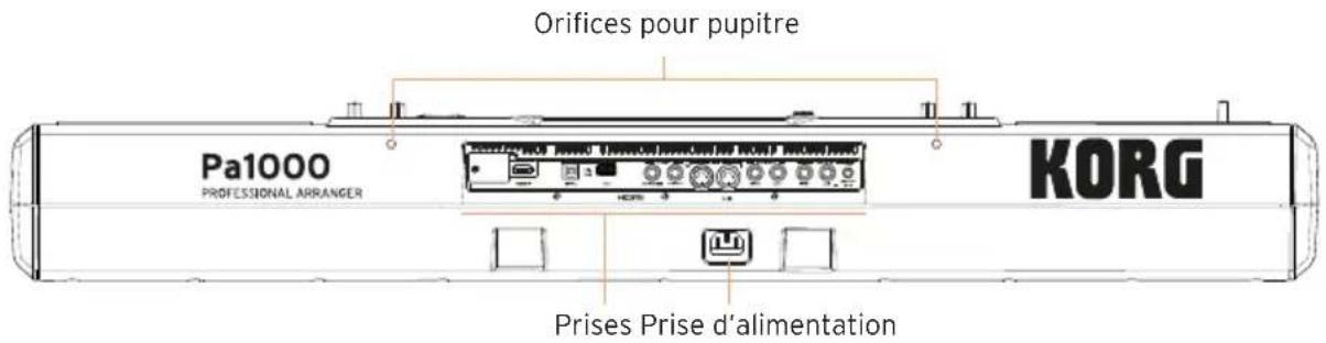 KORG PA1000 - Panneau arrirée - 1