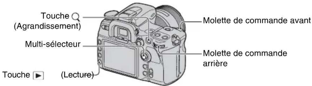 SONY Alpha DSLRA700Z - Agrandissement d'images - 1