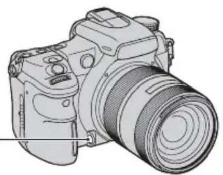 SONY Alpha DSLRA700Z - Apercu de profondeur de champ - 1