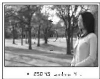 SONY Alpha DSLRA700Z - Pour mesurer la distance exacte du sujet - 5