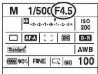 SONY Alpha DSLRA700Z - Esposizione manuale - 5