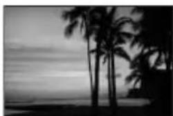SONY Alpha DSLRA700Z - Tramonto - 1