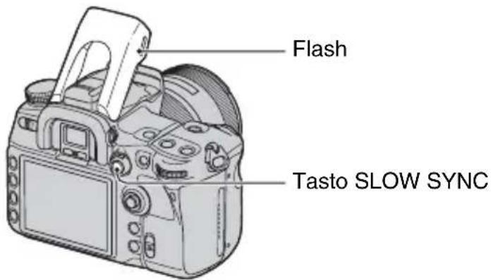 SONY Alpha DSLRA700Z - Ripresa con la funzione "Slow Sync" (ripresa dello sfondo scuro con il flash) - 1