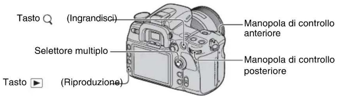 SONY Alpha DSLRA700Z - Ingrandimento delle immagini - 1