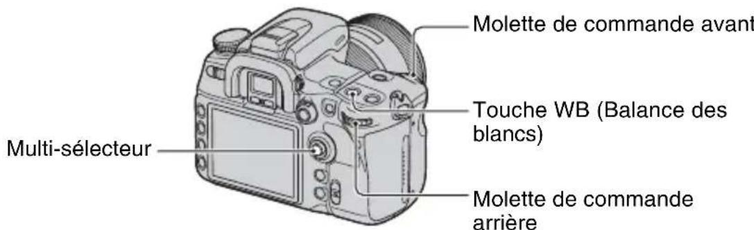 SONY Alpha DSLRA700Z - Exemple : Couleur d'une image affectee par des sources de lumiere - 1