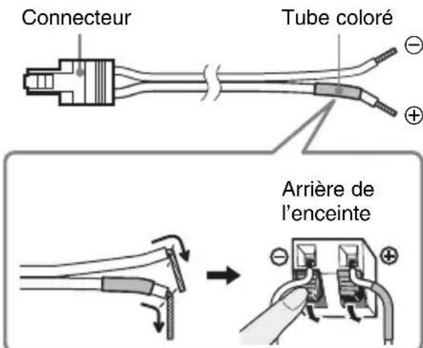 SONY WAHTSBP1 - Raccordement des cordons d'enceinte aux enceintes - 1
