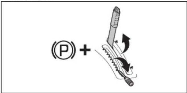 (P) +