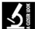 RCF PL60 - Collegamenti - 3