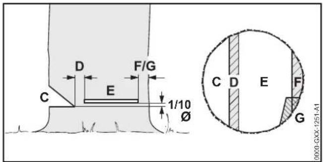 STIHL MSA 120 CBQ - Basic information on felling cut - 1