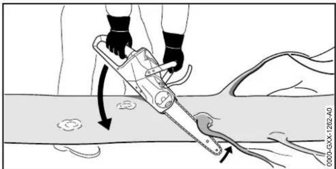 STIHL MSA 120 CBQ - Limbing - 1