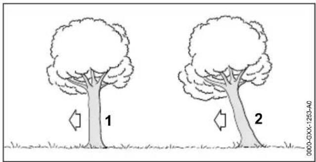 STIHL MSA 220 CB - Preparing work area at base of tree - 6