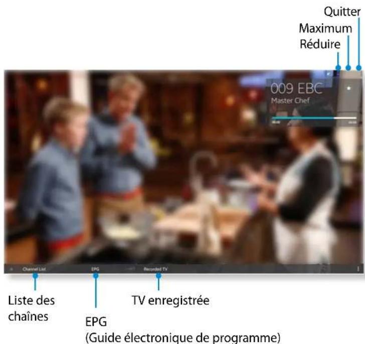SAMSUNG DP700A4JI - Utilisation du téléviseur(en option) - 1