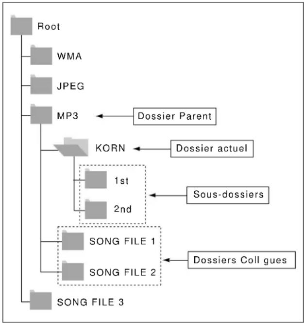 SAMSUNG DVDL1200W - Selection du dossier - 1
