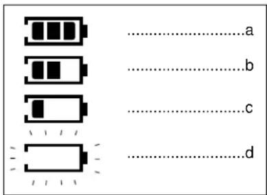 SAMSUNG DVDL1200W - Indicateur du niveau des piles - 1