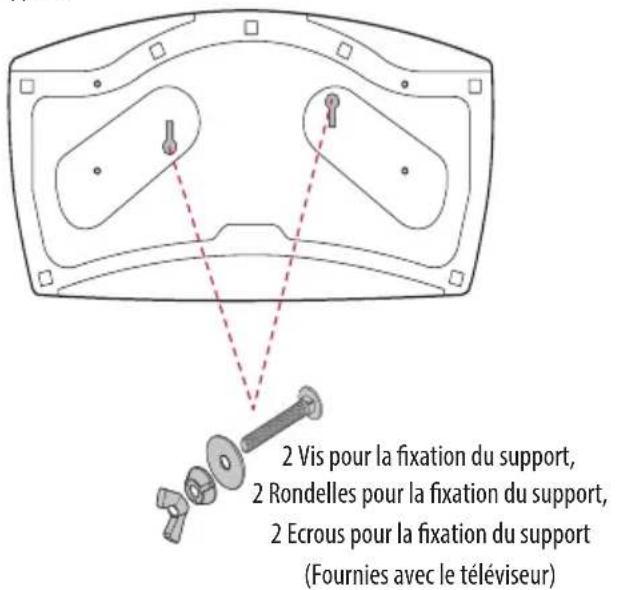 2 Vis pour la fixation du support, 2 Rondelles pour la fixation du support, 2 Ecrous pour la fixation du support (Fournies avec le téléviseur)