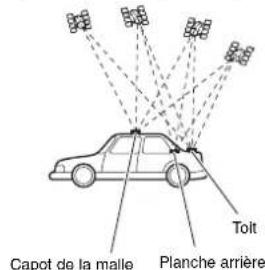 Capot de la malle Planche arrière Toit