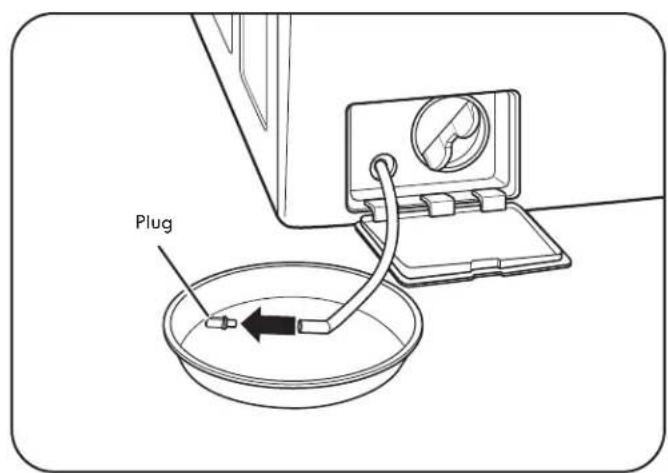 Plug