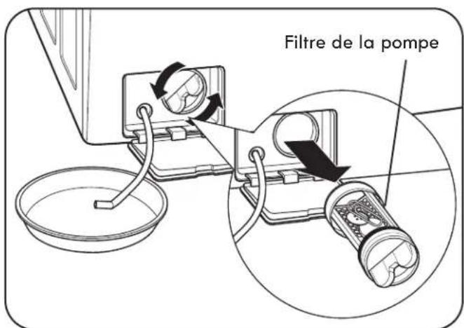 Filtre de la pompe