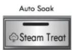 LG 41683 - STEAM TREAT - 1