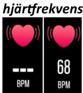 DENVER BFH250 - Stegräknare - 2