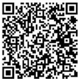 DENVER BFH250 - Installation der App - 2