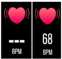 DENVER BFH250 - Heart rate - 1