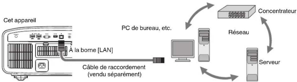 JVC DLANX5 - Connexion à la borne LAN - 1