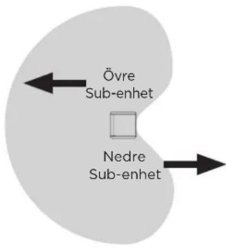 BOSE Sub2 - Kardioidläge - 4