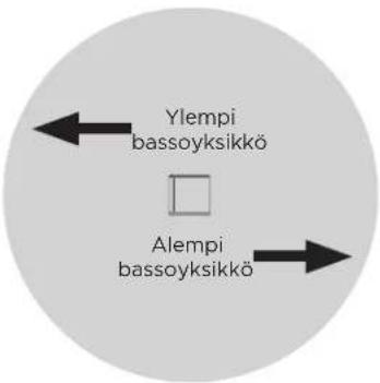 BOSE Sub2 - Kardioiditila - 3