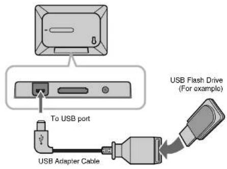 LG PF391P - Connecting an USB Device - 1