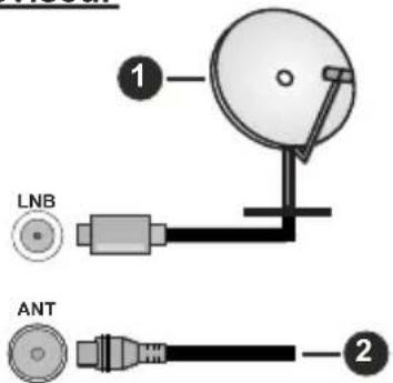 HITACHI 43HAE4251 - Branchement de l'antenne - 1