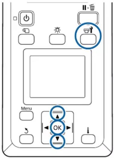 EPSON SureColor SCS80600L - Important: - 1