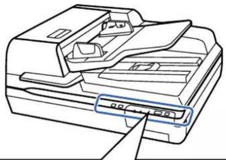 EPSON WorkForce DS70000N - Pièces du scanner - 3
