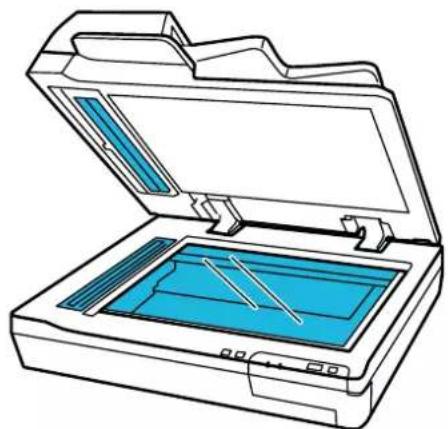 EPSON WorkForce DS70000N - Important: - 1