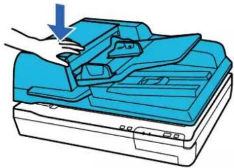 EPSON WorkForce DS70000N - \section*{Caracteristiques et positionnement des originaux} - 1