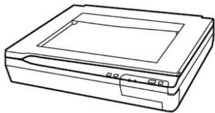 EPSON WorkForce DS70000N - Pièces du scanner - 2