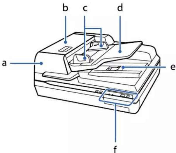 EPSON WorkForce DS70000N - Bases du scanner - 1