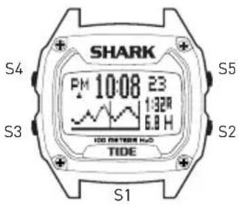 FREESTYLE Killer Shark - KILLER SHARK TIDE - 1
