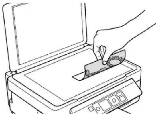 EPSON Stylus NX330 - Copying a Document or Photo - 1