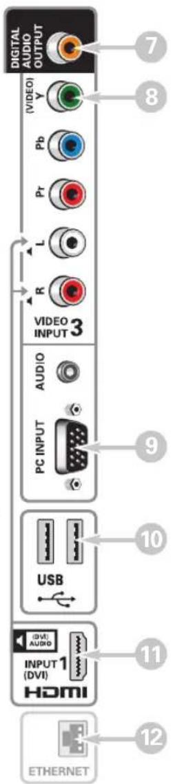 DIGITAL AUDIO OUTPUT 7 8 (VIDEO) Y (Pb) Pr L R VIDEO INPUT 3 AUDIO PC INPUT USB 10 INPUT 1 (DVI) AUDIO (HDMI) 11 ETHERNET 12
