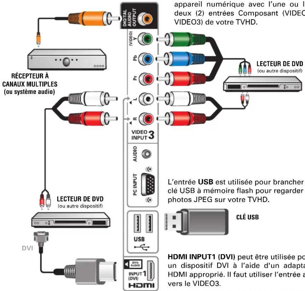appareil numérique avec l'une ou l deux (2) entrées Composant (VIDEO VIDEO3) de votre TVHD. RÉCEPTEUR À CANAUX MULTIPLES (ou système audio) LECTEUR DE DVD (ou autre dispositif) L'entrée USB est utilisée pour brancher clé USB à mémoire flash pour regarder photos JPEG sur votre TVHD. CLÉ USB HDMI INPUT1 (DVI) peut être utilisée po un dispositif DVI à l'aide d'un adapta HDMI approprié. Il faut utiliser l'entrée a vers le VIDEO3. DIGITAL AUDIO OUTPUT VIDEO VIDEO VIDEO3 AUDIO PC INPUT USB DVI INPUT 1 (DVI) HDMI