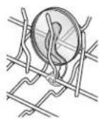 MAYTAG MDB6769AWW - Cup Clips - 1